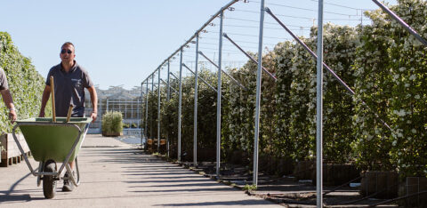 Mobilane Sociale werkplaatst scalabor