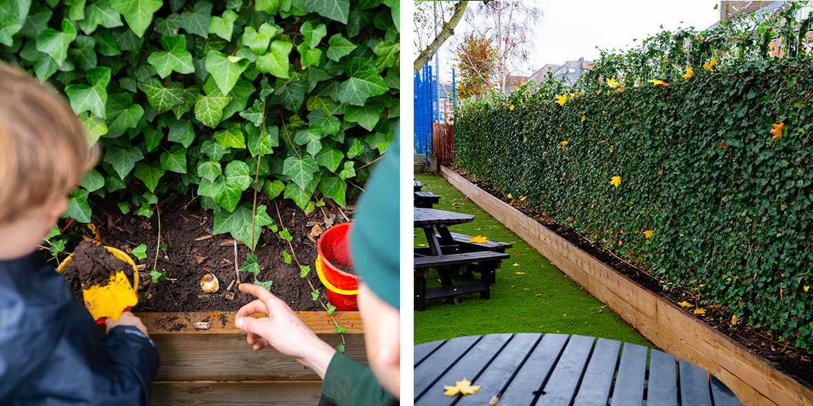 Mobilane ready-made hedge system installed at a school to help reduce air pollution and particulate matter