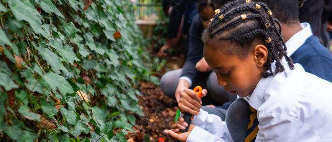 Mobilane Kant & Klaar Haag geplaatst op een schoolplein als groene oplossing tegen luchtvervuiling en fijnstof