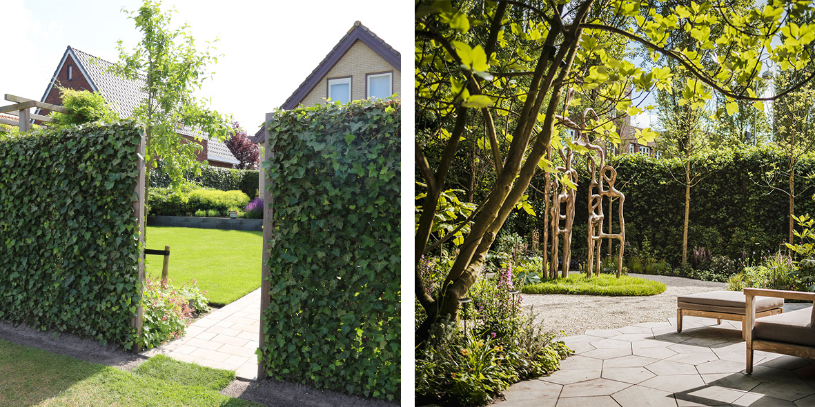 Detail of fully grown green fences with dense planting that enhances biodiversity and living quality