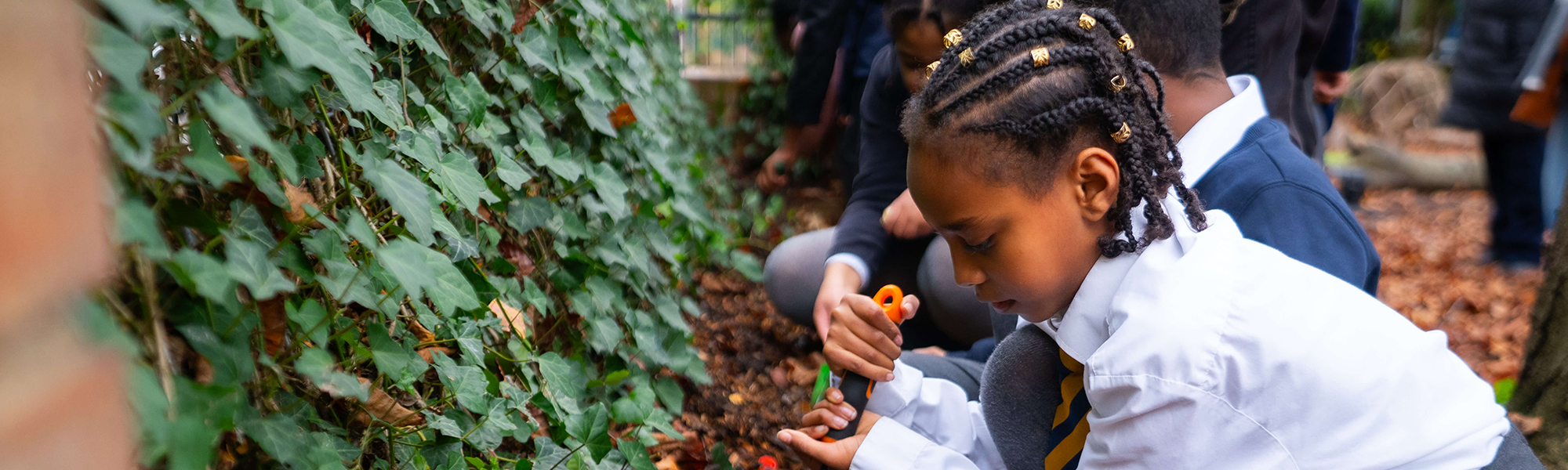 Mobile box booths 4-480x234