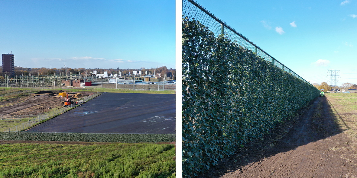 Groene terreinafscheiding met Mobilane Kant & Klaar Hagen bij TenneT Tilburg