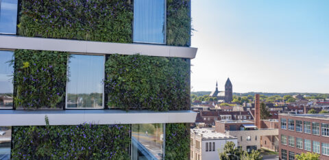 Nachhaltige Fassadenbegrünung an Bürokomplex mit MobiPanel vertikaler Begrünung