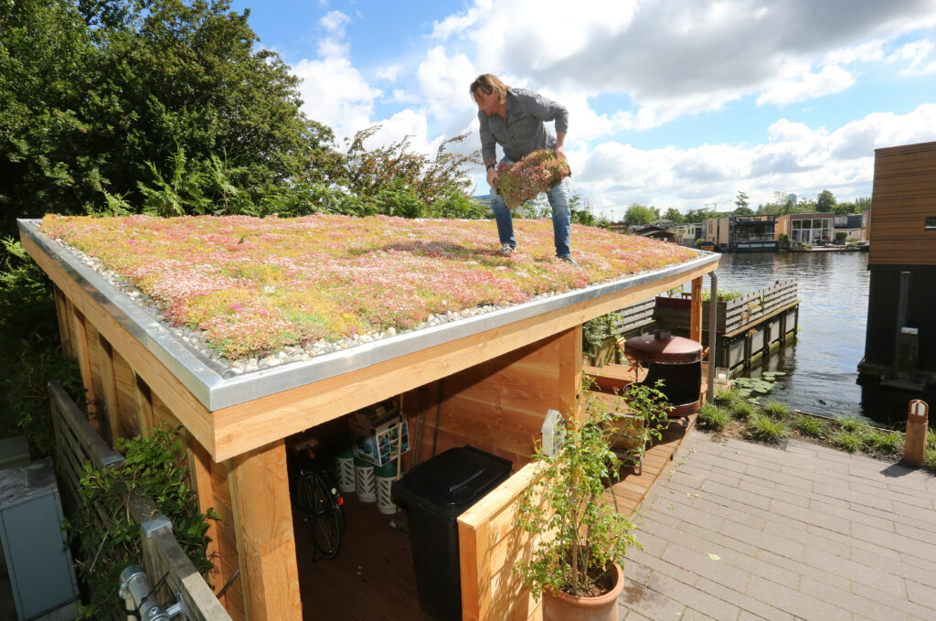 Man legt sedumplanten aan op een groen dak boven een botenhuis aan het water