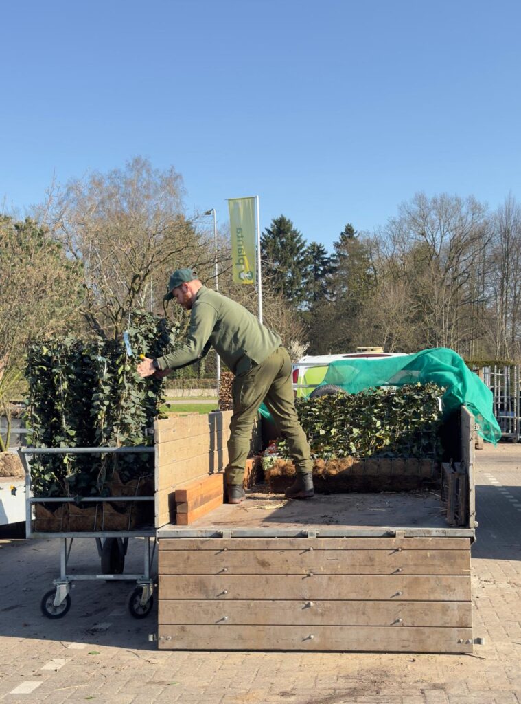 Hovenier groene hagen van Mobilane