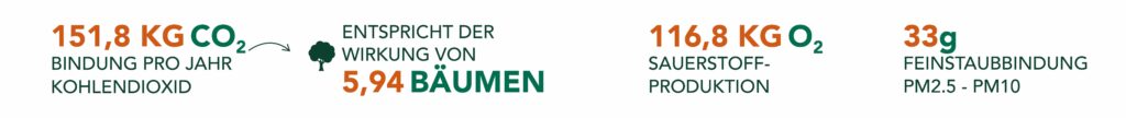 Infografik zur Fassadenbegrünung im Meissner Schaugarten: CO2-Bindung von 151,8 kg pro Jahr entspricht der Wirkung von 5,94 Bäumen, Sauerstoffproduktion 116,8 kg O2, Feinstaubbindung 33g (PM2.5–PM10)