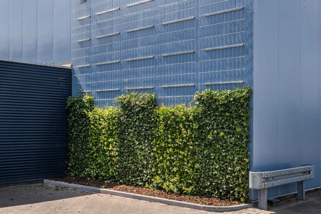 MobiClimb is the only green facade system that delivers a fully grown green wall from the moment of installation, thanks to pre-grown climbing plants with strong roots — installable year-round and with minimal maintenance.