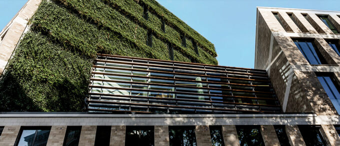 Detailansicht einer vollständig begrünten Fassade mit dem WallPlanter-System, das sich harmonisch in die Fensterstruktur des Gebäudes einfügt.