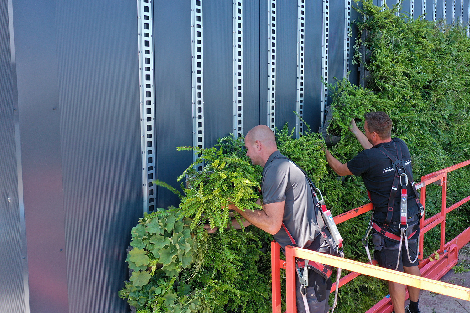 A MobiPanel living wall integrated into a commercial building façade, designed with fire performance and long-term maintenance in mind.