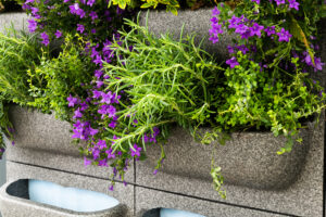 Regular maintenance, including irrigation checks and the removal of dead vegetation, helps ensure a living wall continues to perform as designed.