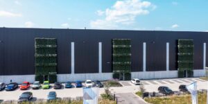 Fully grown with Hedera helix 'Woerner', fixed to a supporting structure against the production hall.
