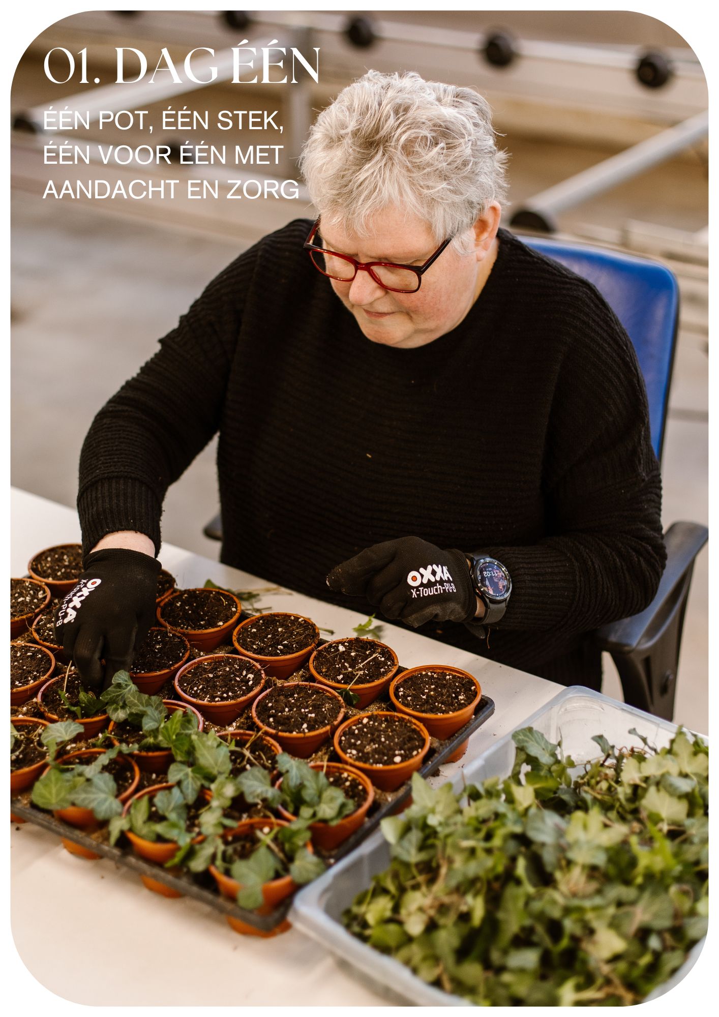 Stekken van de Mobilane Kant & Klaar Haag worden met de hand geplant