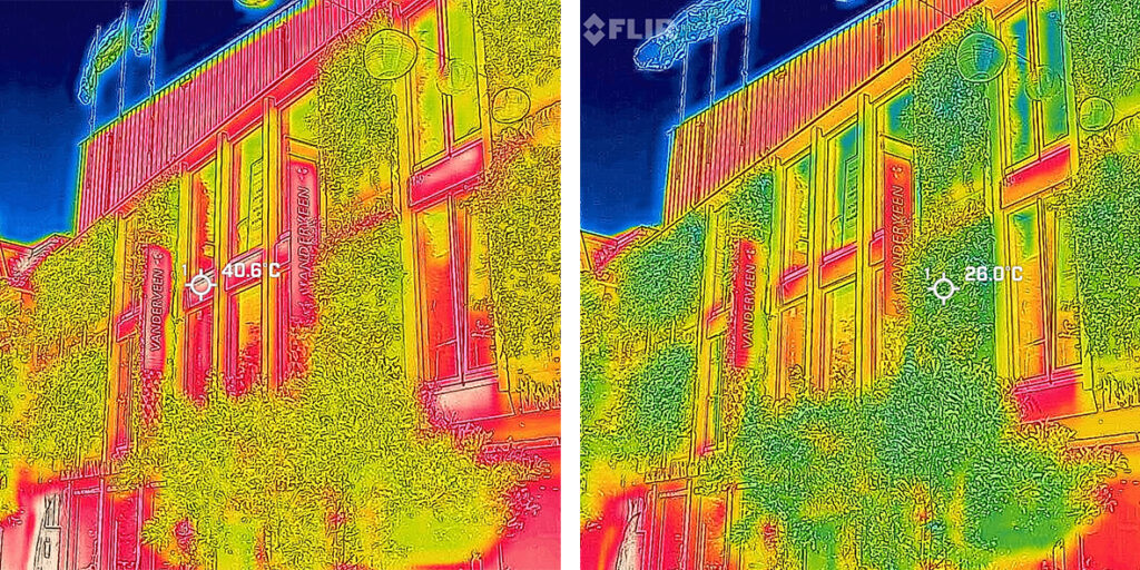 Thermische beelden van de groene gevel bij Warenhuis Vanderveen in Assen, gerealiseerd met Mobilane MobiPanel, met temperatuurverschillen tussen begroeide en onbegroeide gevelvlakken.