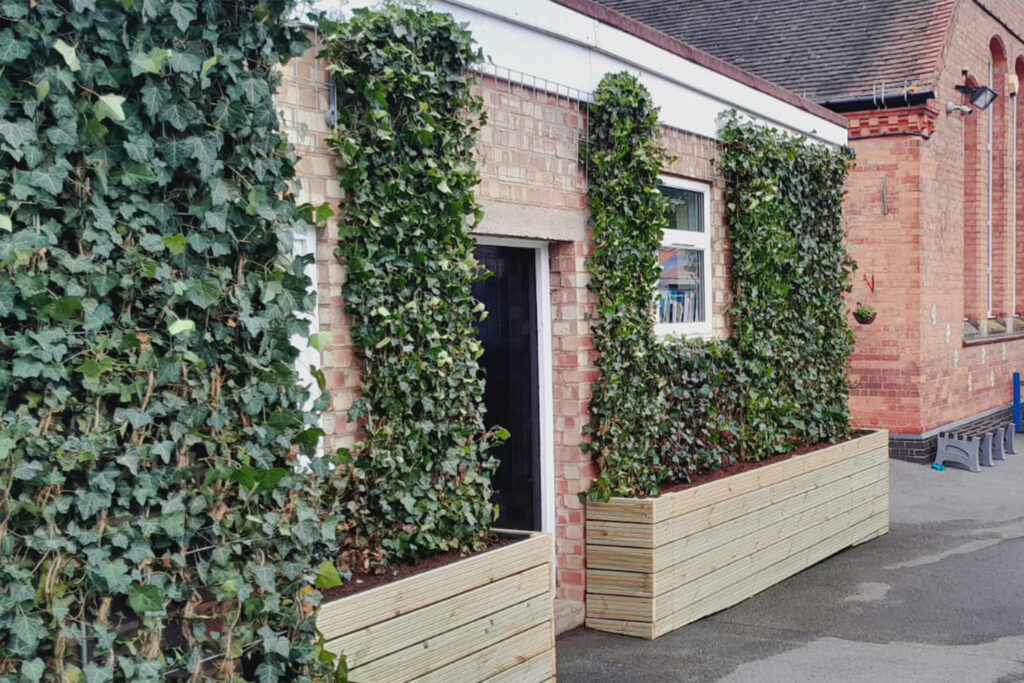 Wide view of a school entrance fully covered with green ivy screens along the façade, with wooden planters at the base