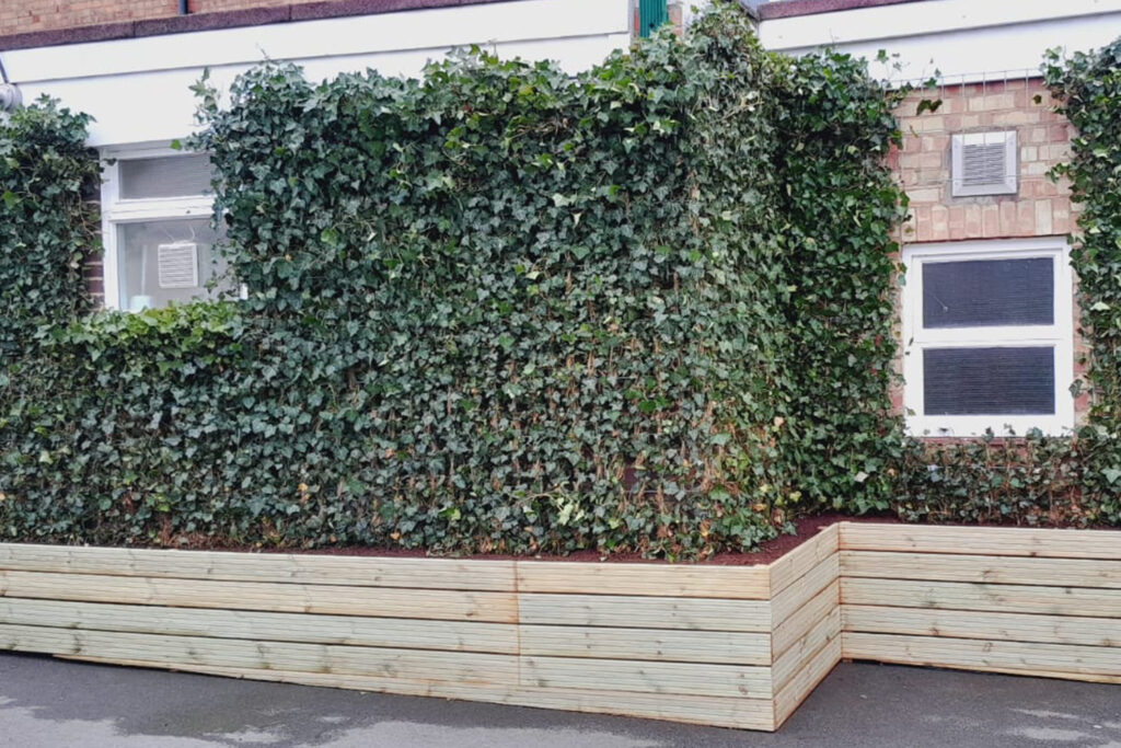 Detailed view of mature ivy foliage on a Green Screen panel, fully covering the wall between a window and ventilation grille