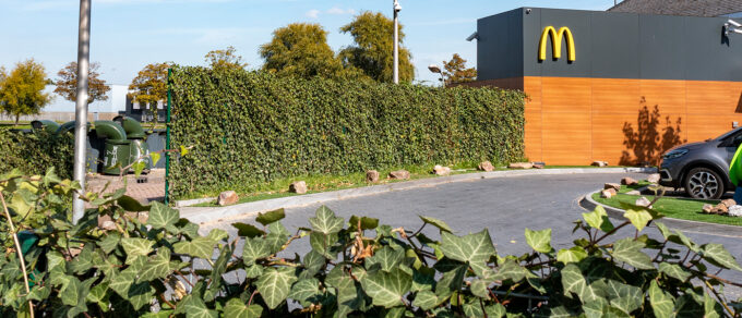 Haie Prête à Planter Mobilane comme délimitation entièrement végétalisée le long du Mc Drive chez McDonald's à Rotterdam