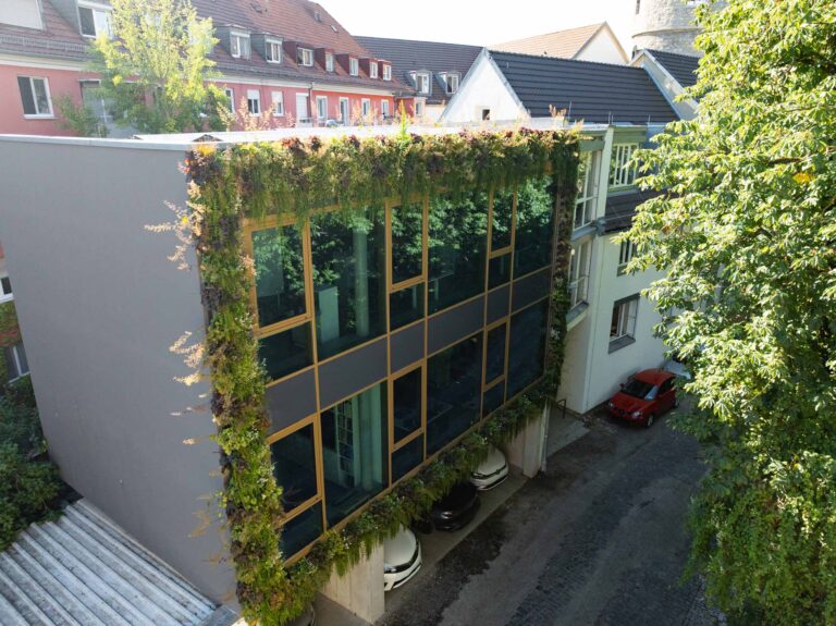 Gros plan de plantes retombantes et de vivaces le long de l’angle supérieur d’un châssis couleur bronze