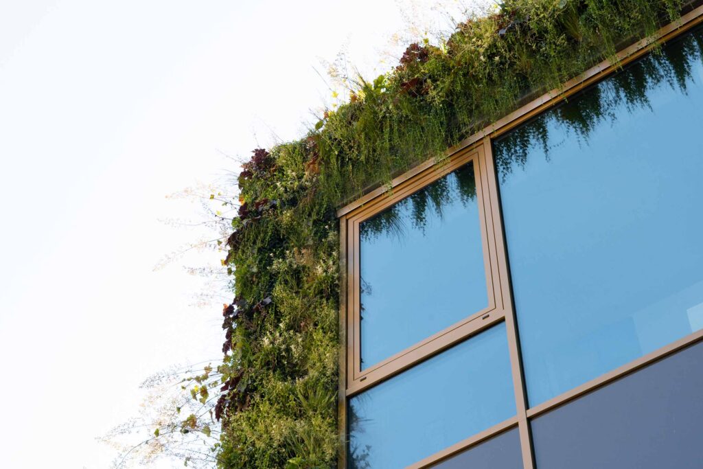 Detail van gevelbegroening met siergrassen en vaste planten langs een raamkozijn